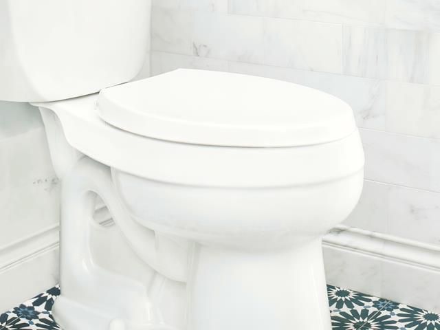 images/toilet-unblocking/slider/toilet-unblocking (7)-kireth-ai.jpeg